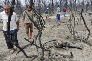 （示意圖源：互聯網）