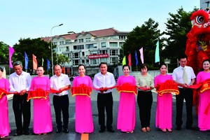 （示意圖源：互聯網）