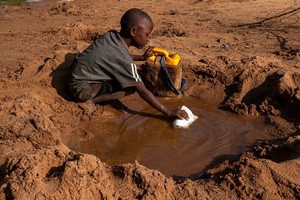 小男孩正從一條乾涸的河流中收集他所能收集到的水。