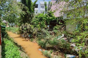 大勒整頓侵佔河溪情況