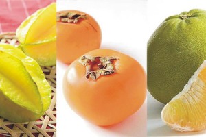 （示意圖源：互聯網）