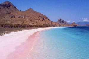 夢幻粉紅沙灘。