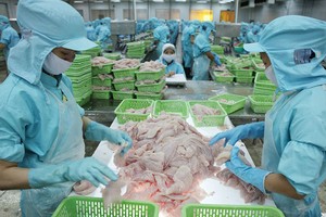 （示意圖源：互聯網）