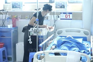 從1月1日至9月16日，本市共發現5萬6234例登革熱病例。