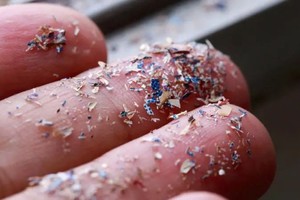 （示意圖源：互聯網）