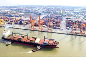 我國有巨大潛力發展國際海 運船隊。