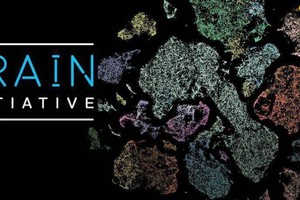 （示意圖源：互聯網）