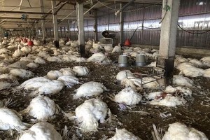 （示意圖：互聯網）