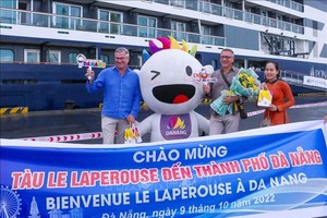 峴港迎來首艘國際郵輪