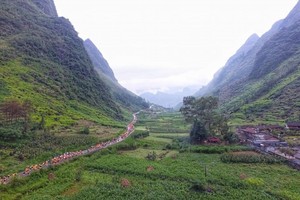 2300名運動員參加2022年河江省“在幸福路上奔跑”國際 馬拉松賽。（圖：互聯網）