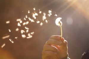 （示意圖：互聯網）