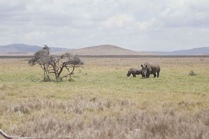 （示意圖：互聯網）