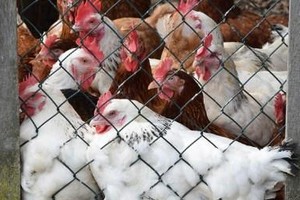 （示意圖：互聯網）