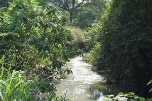 擬興建3家廢水處理廠