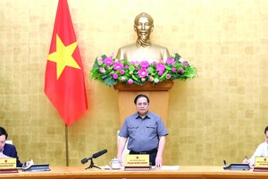 向專家徵詢關於法律制定之意見