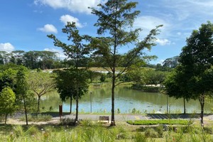 新加坡以科技遠端監測600萬株