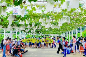 假期首日旅遊景點人山人海