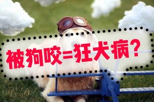 狂犬病只有狗狗能得？