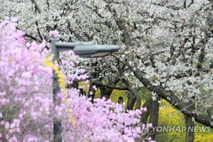 韩今春平均气温再创历史新高