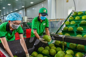 蔬果出口呈现起色