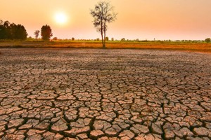 厄尔尼诺现象将延至明年４月