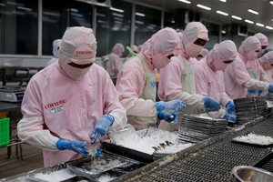 虾类出口预计达 34 亿美元