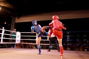 在国内举办的赛事