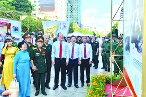 欣赏越南力量的美丽画面