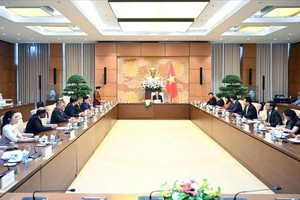 东南亚是越南对外政策的优先与不可划分部分