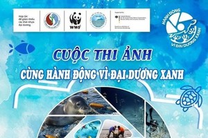 发起“为绿色大洋行动”图片大赛
