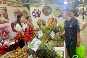 隆庆水果盛会开幕