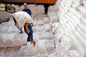 日本大米价创 20 年来最大涨幅