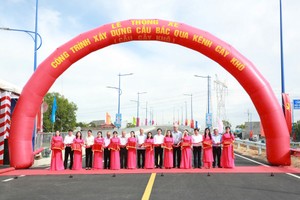 连接芽皮与平政县的“枯木”桥通车