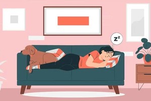 科学睡午觉带来许多健康好处。