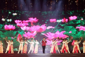 各个艺术表演节目的投资非常专业和规模化，有助提升本市文化艺术的地位。