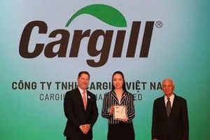 为可持续发展而努力