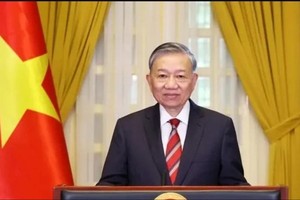 越南共产党中央总书记、国家主席苏林。