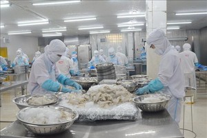 头顿市四海有限责任公司的出口水产品加工活动。