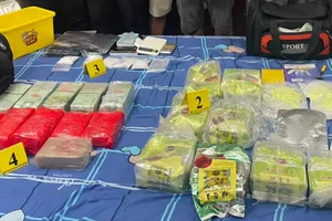 成功侦破两大毒品专案