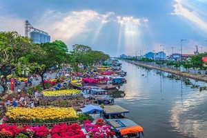 第八郡岸上船下空间已成为本市独一无二的春花市。