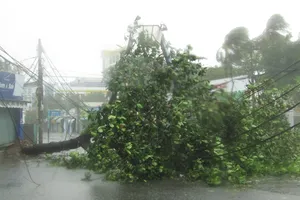 Vũng Tàu mưa lớn, gió giật mạnh, Khánh Hòa - Ninh Thuận ngập lụt, đường sắt tê liệt 