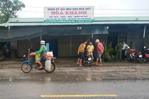 Bắt giữ nghi can giết nữ chủ quán cà phê ở Long An