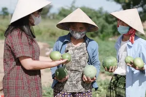 Lắng đọng ân tình người miền Trung