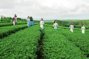 NTK - nghệ nhân Trung Đinh trình làng 3 bộ sưu tập trong Fashion tour