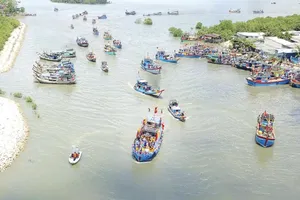 Nhiều chương trình, sự kiện đặc sắc tại Lễ hội Nghinh Ông Cần Giờ