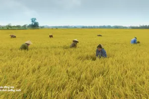 Phương Mỹ Chi kết hợp DTAP ra mắt MV “Gạo của ta”