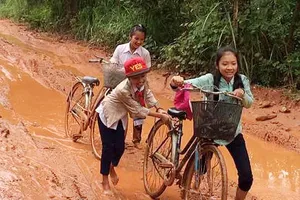 Điểm tin SGGP Online ngày 13.02.2019