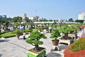 Lễ hội Bonsai và Suiseki châu Á – Thái Bình Dương lần đầu tiên được tổ chức tại Việt Nam