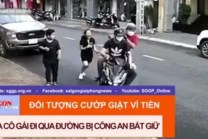 Đối tượng cướp giật ví tiền của cô gái đi qua đường bị công an bắt giữ