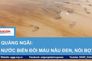 Quảng Ngãi: Nước biển đổi màu nâu đen, nổi bọt